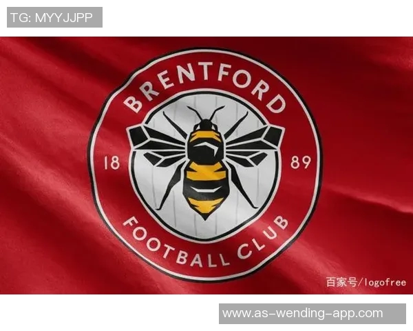 重庆足球俱乐部logo设计解析与背后故事探讨